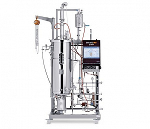 Bioreactor bacterial vessels from 150 to 1000 l, steam sterilization, Techfors