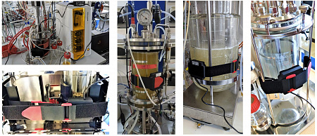 Sensor for non-invasive online monitoring of biomass in BioR bioreactors