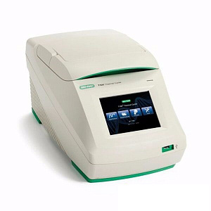 DNA amplifier T100 Thermal Cycler with thermoblock 96x0.2 ml