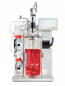 Cell bioreactor Minifors 2