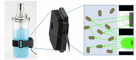 Sensor for non-invasive online monitoring of biomass in bioreactors, customized wavelength, BioR