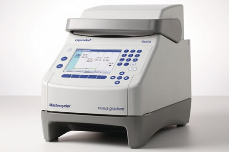 Amplifier Mastercycler nexus